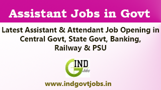 Latest Assistant Govt Jobs 2025 (24031 Vacancies Opening)
